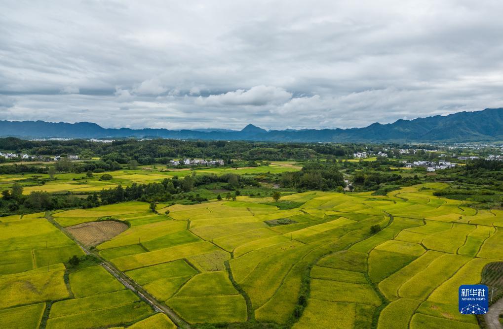 金亚洲登陆平台登录
